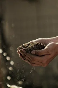 permaculture