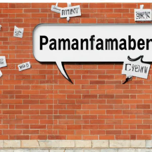 comment amenager son placard mural