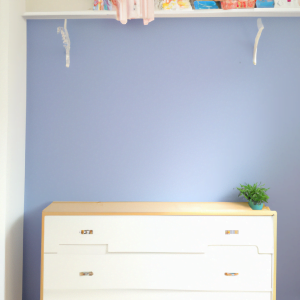 comment amenager un placard mural