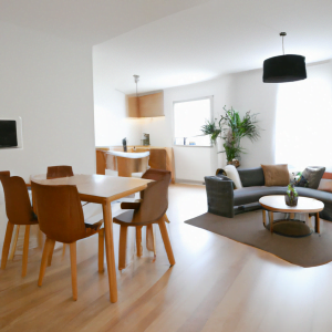 comment amenager un salon salle a manger de 30m2