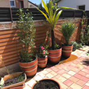 comment decorer son jardin avec des plantes