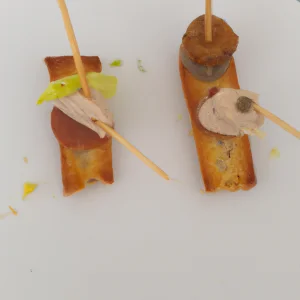 comment disposer 2 canapes 3 places